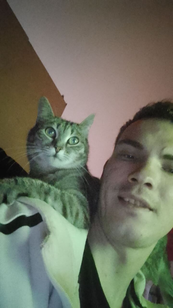 ,   , 28 ,   c , 