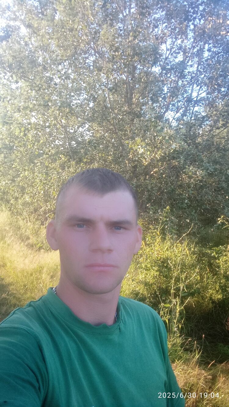  53031679  , 29 ,    