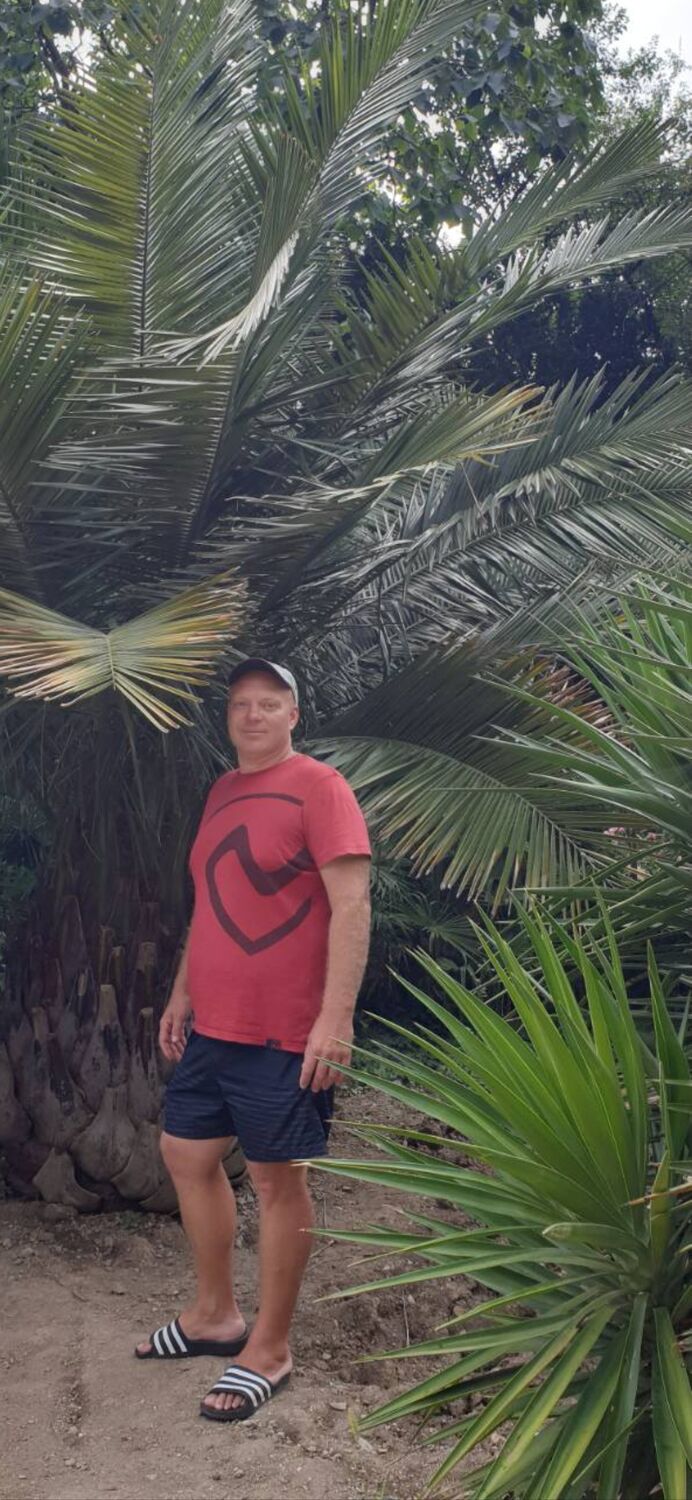 ���������� �����, ���� ������� ������, 37 ���, ������������ ��� ����� � ���������, c�������� ���������, ���������