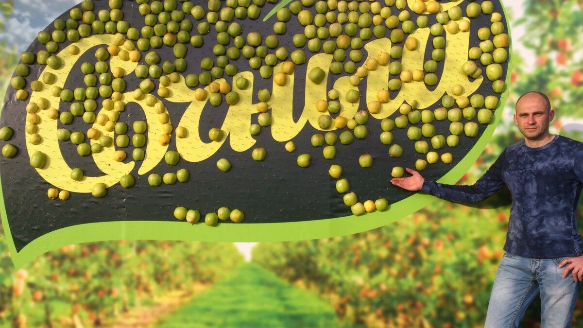 ���� 10384349 ������� �����, 43 ����, ���� ���������� � ������