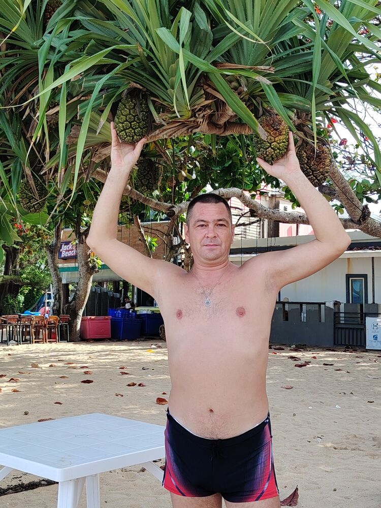 ���� 56022039 ������� ������, 43 ����, ���� ���������� � ���������