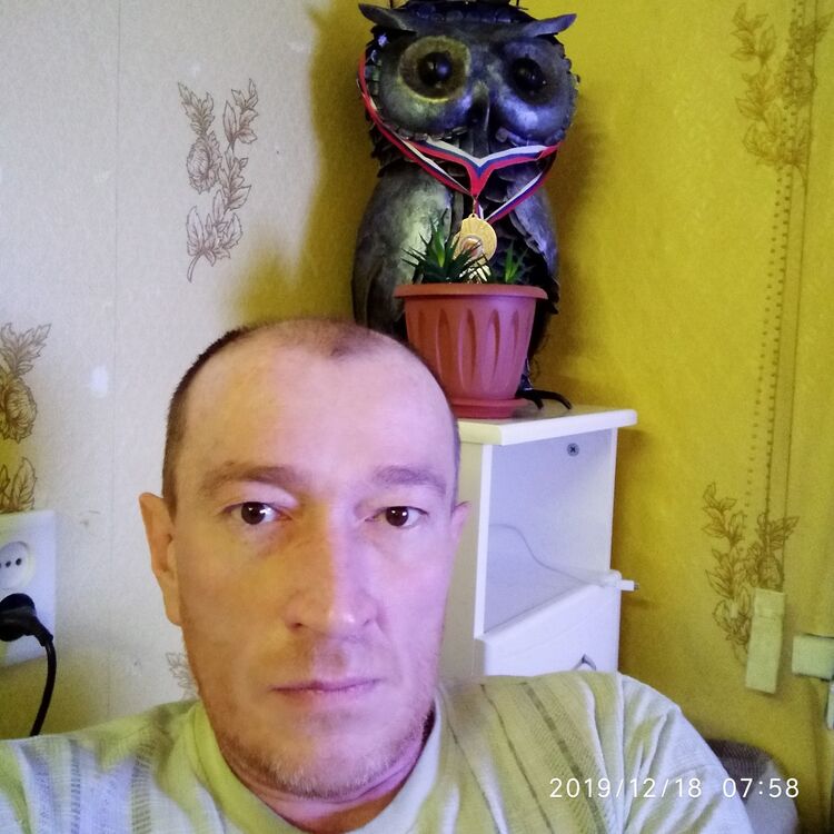 ���� 19510449 ������� ���������, 50 ���, ���� ���������� � ����������