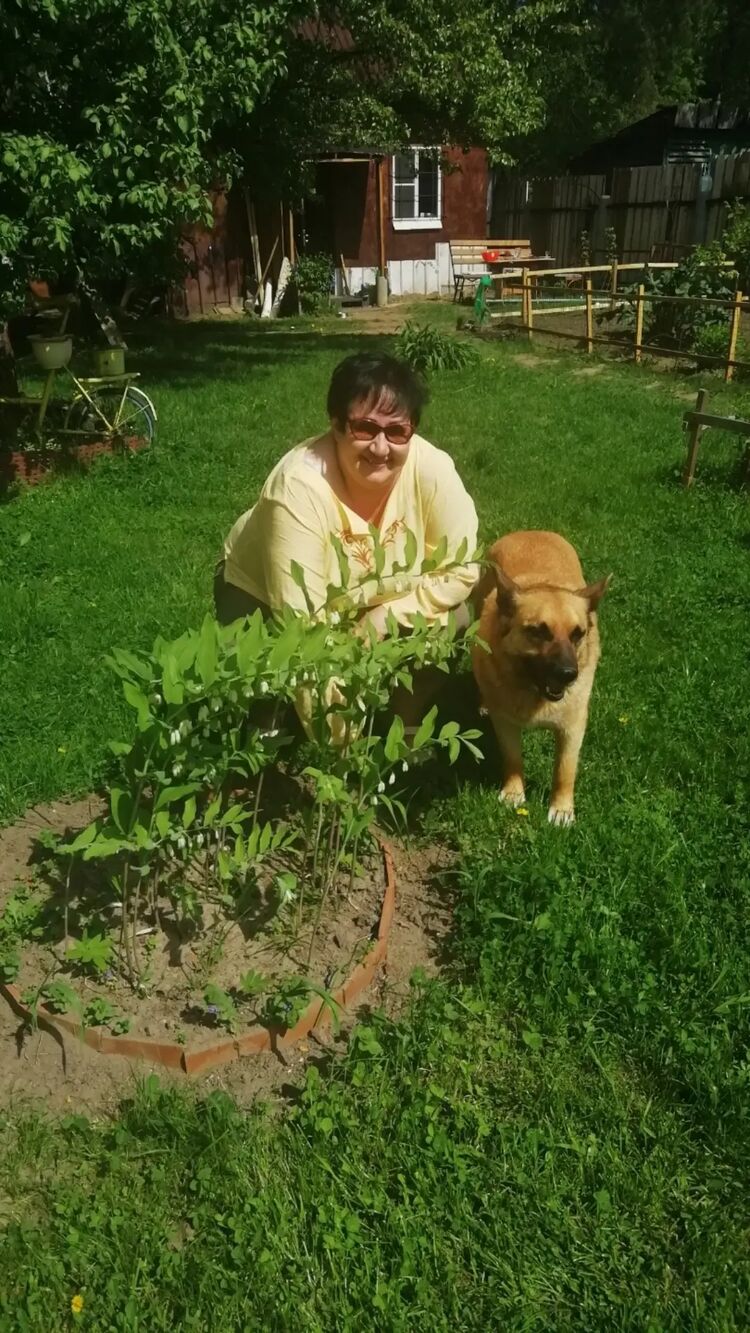 ���������� �����������, ���� ������� ���������, 60 ���, ������������ ��� ������, ����� � ���������, ���������