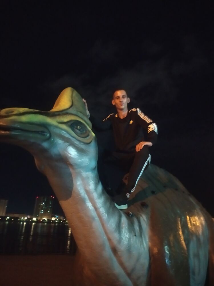  28080839  , 25 ,    