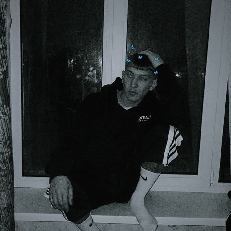  52577839  , 19 ,    