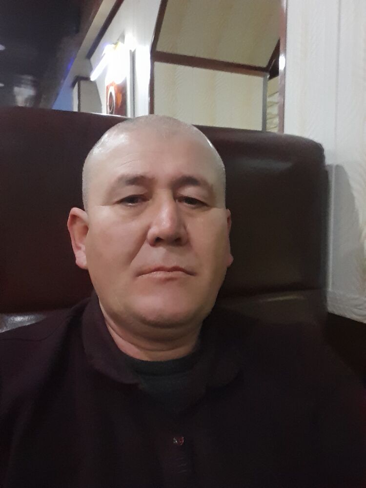  36693189  , 43 ,    