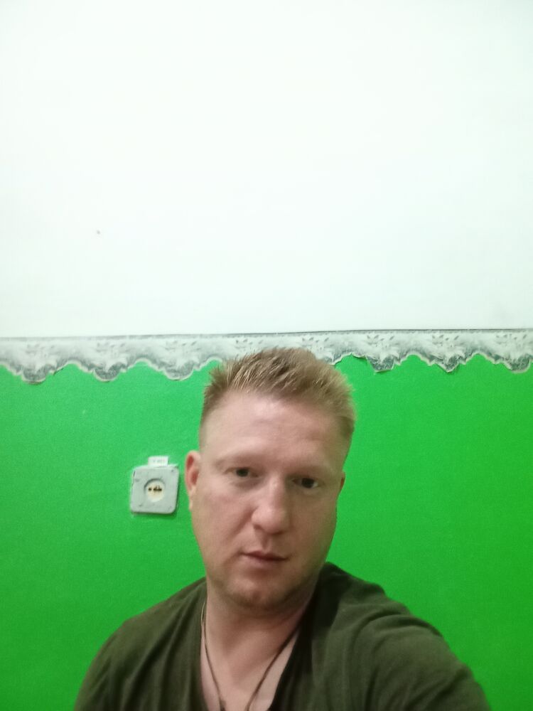  43713379  , 34 ,    