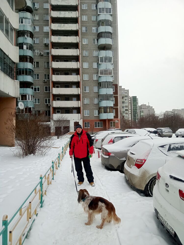 ���� 54822219 ������� ����, 66 ���, ���� ���������� � �������������