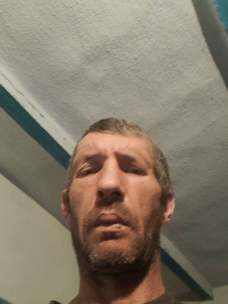  50763199  Serjiu, 43 ,    