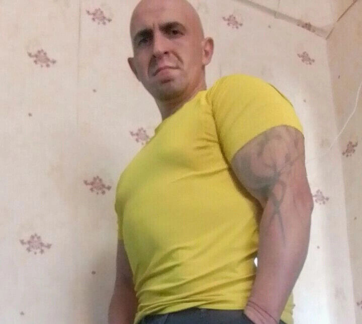  41664849  , 44 ,    