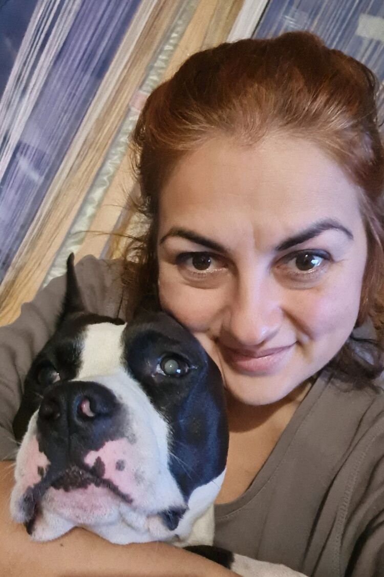  -,   , 41 ,   ,   
