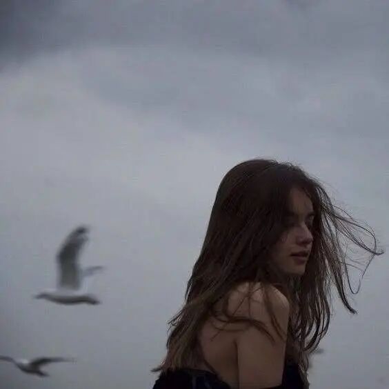  ,   , 22 ,   ,   , 