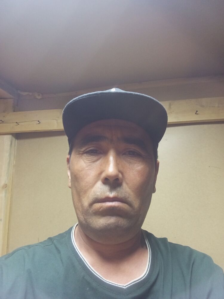  52994539  , 43 ,    
