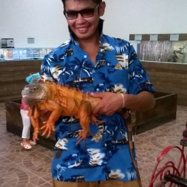  8348349  , 39 ,    -