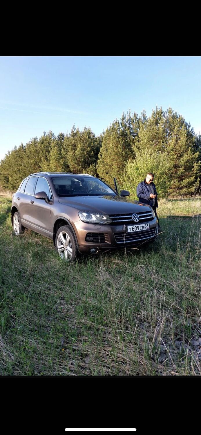 ���������� �����, ���� ������� ���������, 44 ����, ������������ ��� ������, ����� � ���������