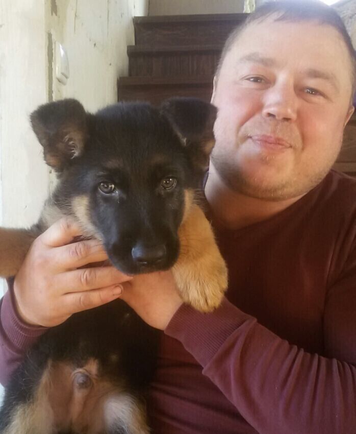 ���� 22781429 ������� ����, 46 ���, ���� ���������� � ��������