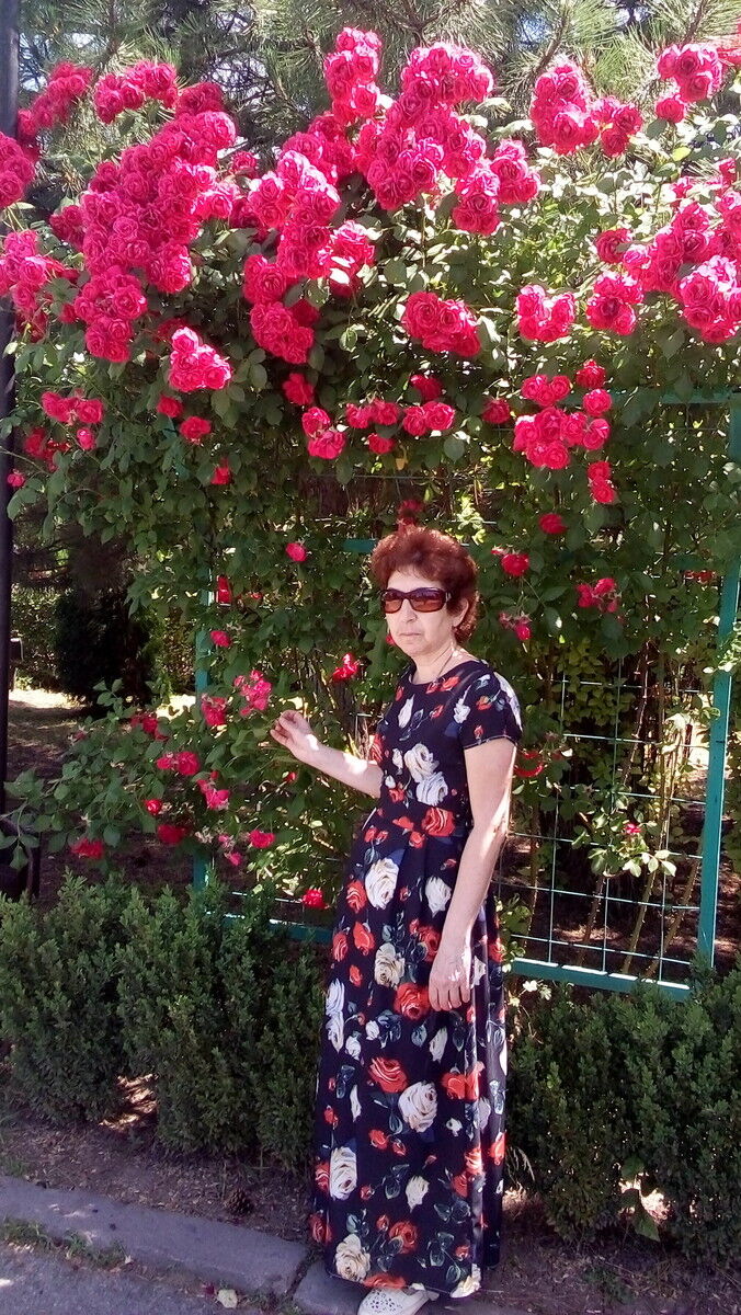  --,   , 65 ,  