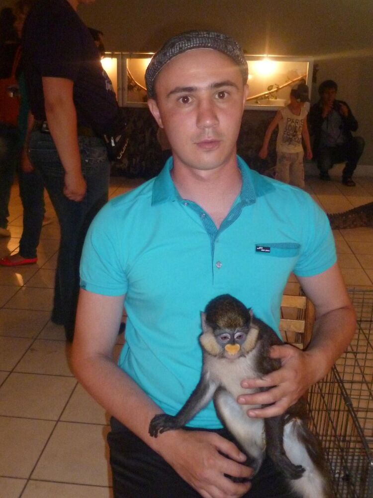 ���� 6448199 ������� �����, 38 ���, ���� ���������� � ��������-���������