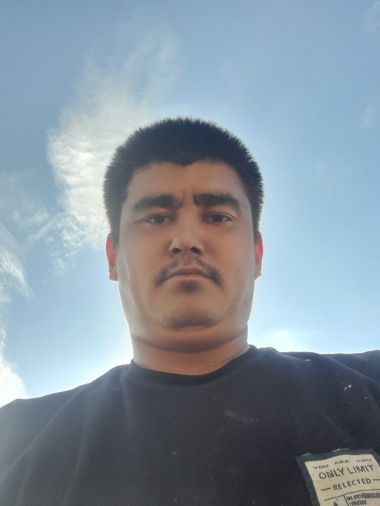  45613509  , 31 ,    
