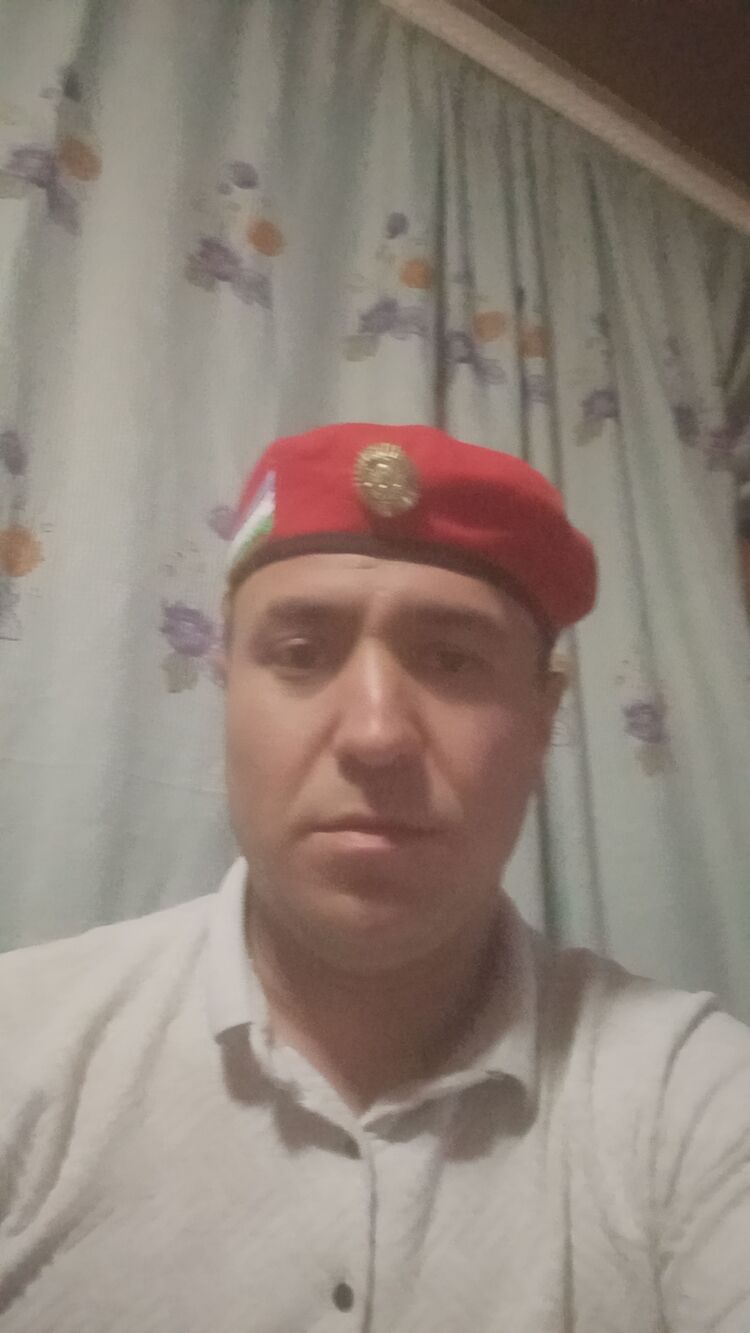  34261509  , 31 ,    