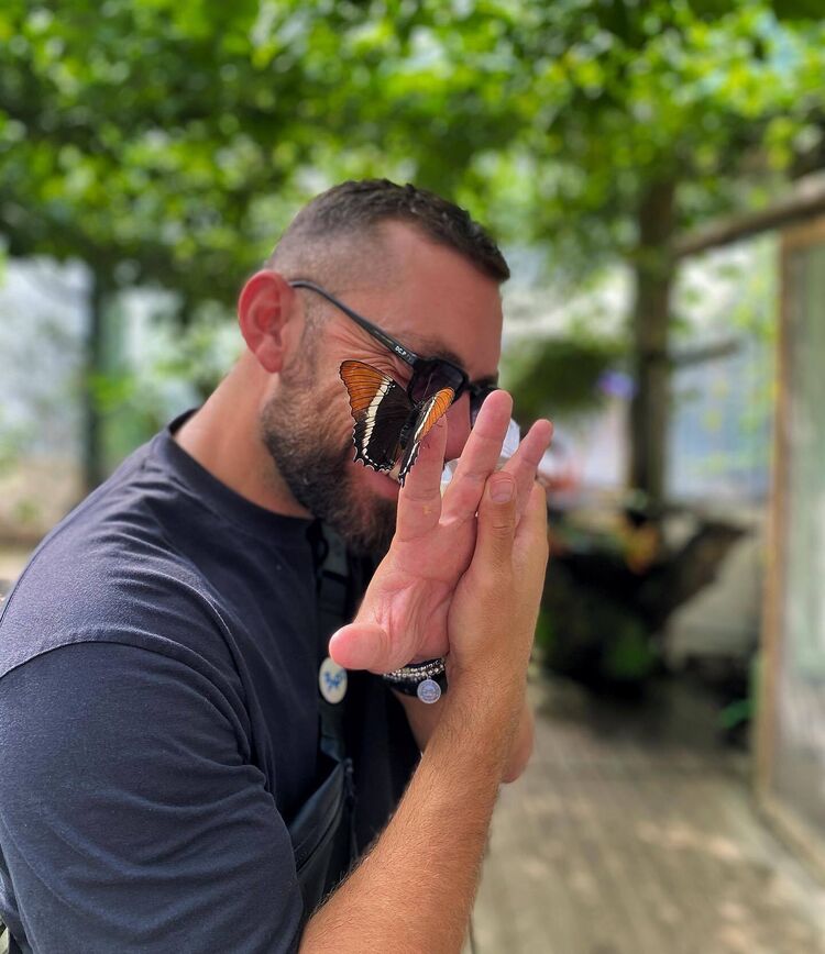 ���������� ������, ���� ������� ������, 38 ���, ������������ ��� ������, ����� � ���������