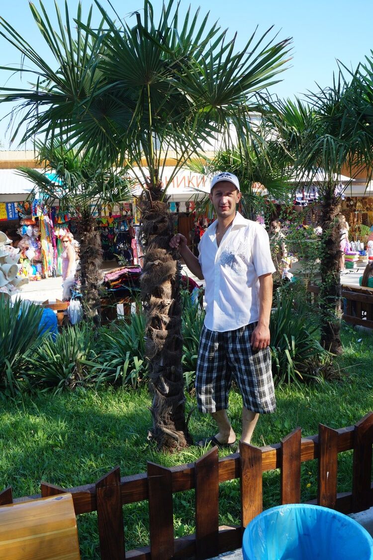 ���� 8369439 ������� �������, 38 ���, ���� ���������� � ����