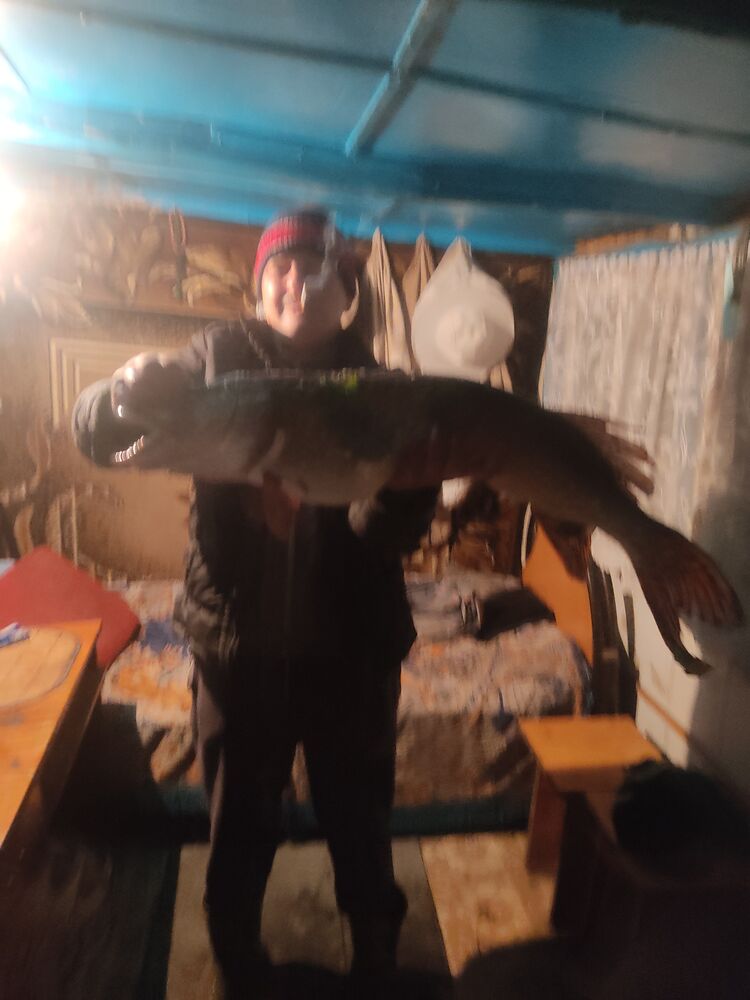  45390609  , 55 ,    