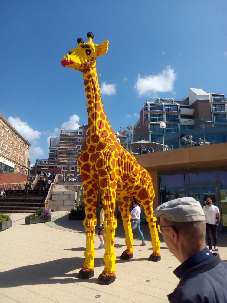 ���������� ����, ���� ������� SASHA, 43 ����, ������������ ��� c�������� ���������