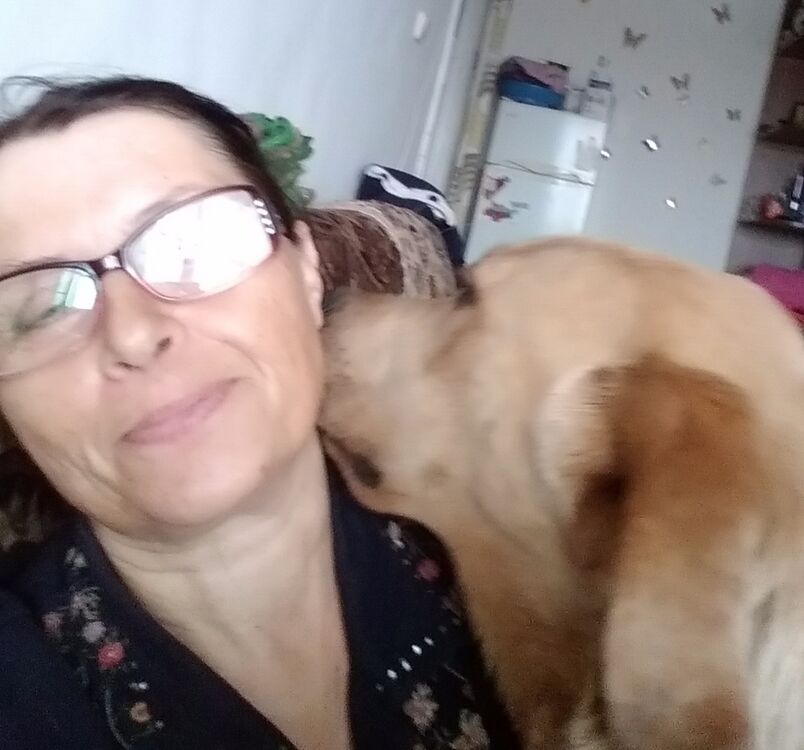  ,   , 56 ,   ,   , c , 