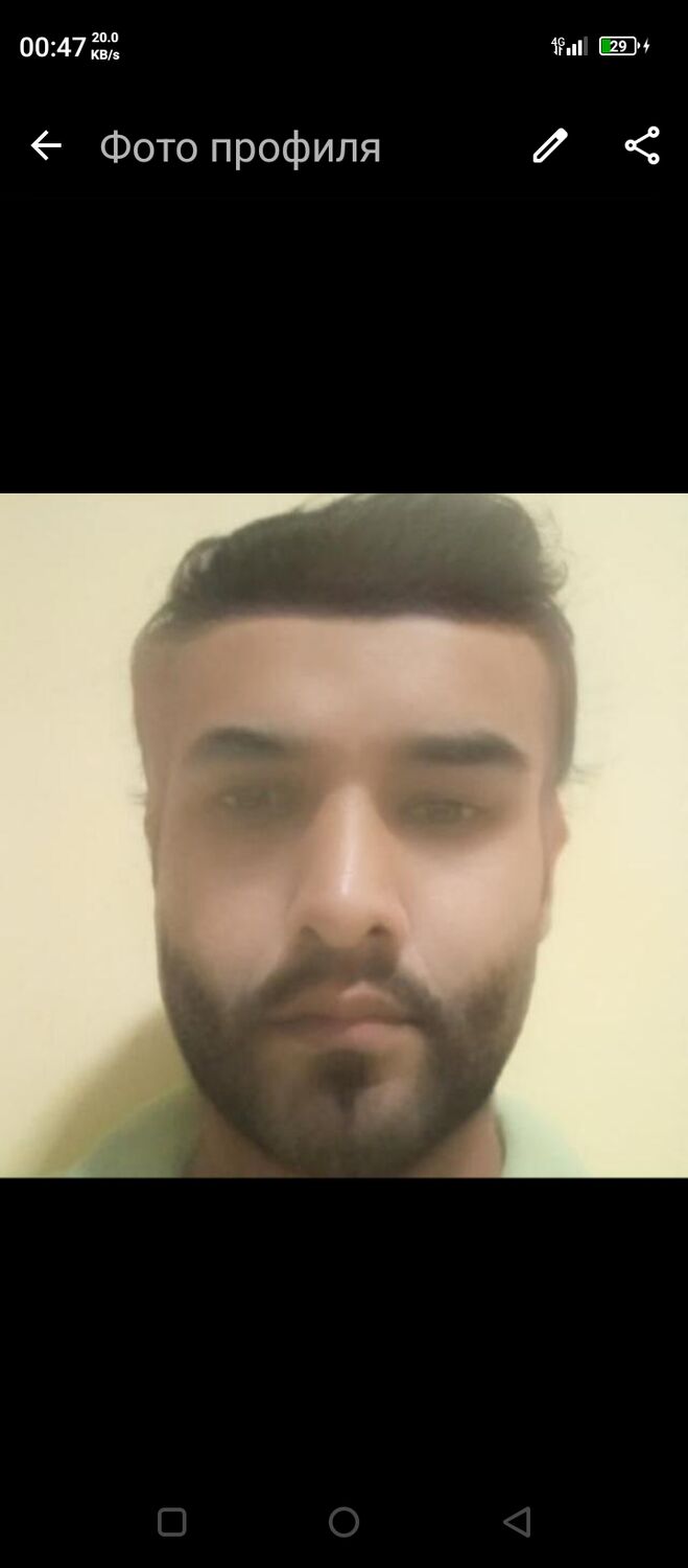 ���� 56231669 ������� Alizhon, 32 ����, ���� ���������� � �������