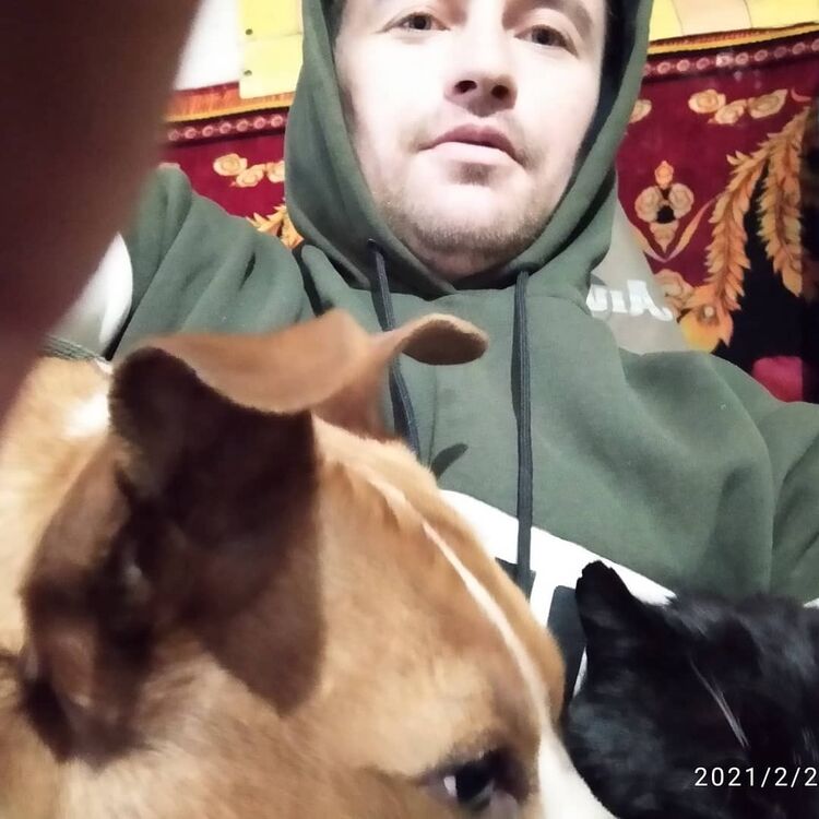 ���� 23970969 ������� �������, 36 ���, ���� ���������� � ��������