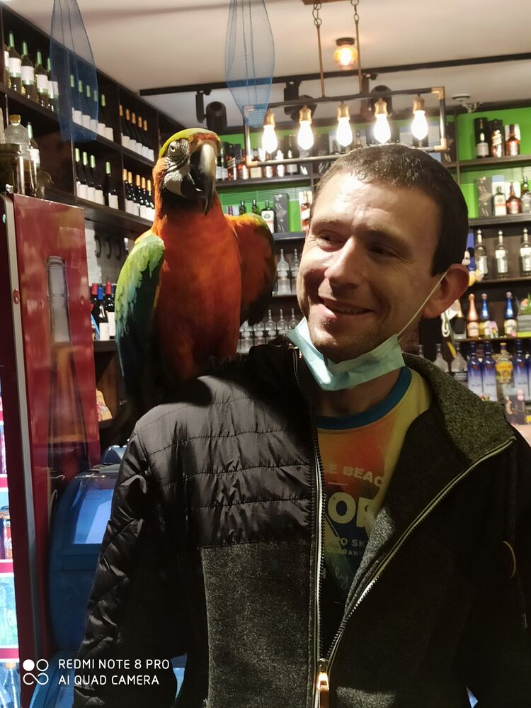  Ashqelon,   , 37 ,     , c 