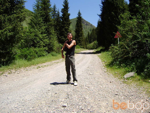 ���������� ������, ���� ������� �������, 41 ���, ������������ ��� ���������