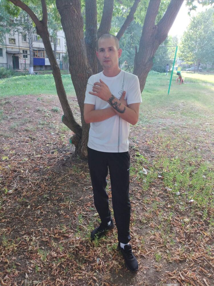  28491579  German, 36 ,    -