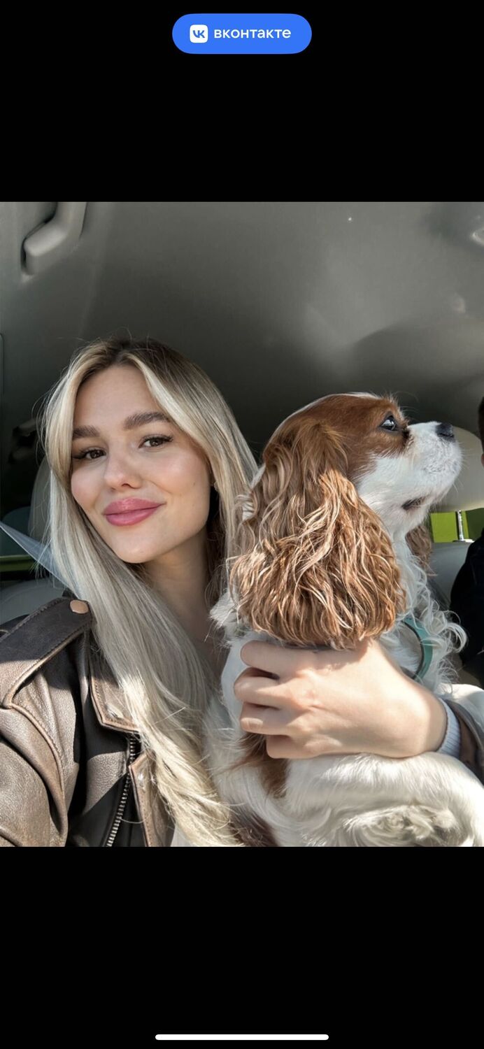  --,   , 33 ,   ,   