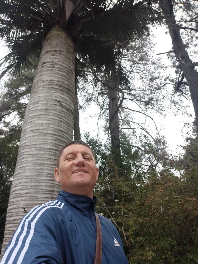  42060269  , 43 ,    