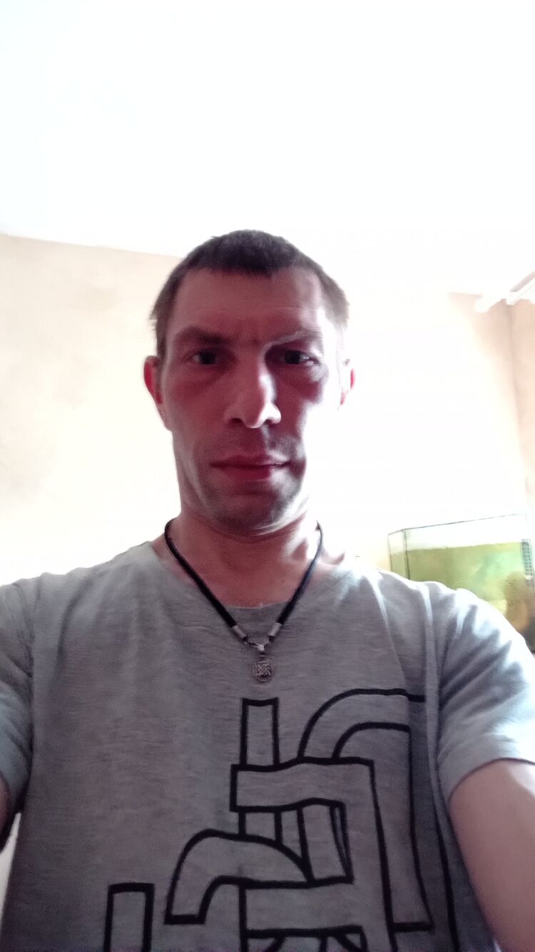 ���� 42031539 ������� �������, 42 ����, ���� ���������� � �������