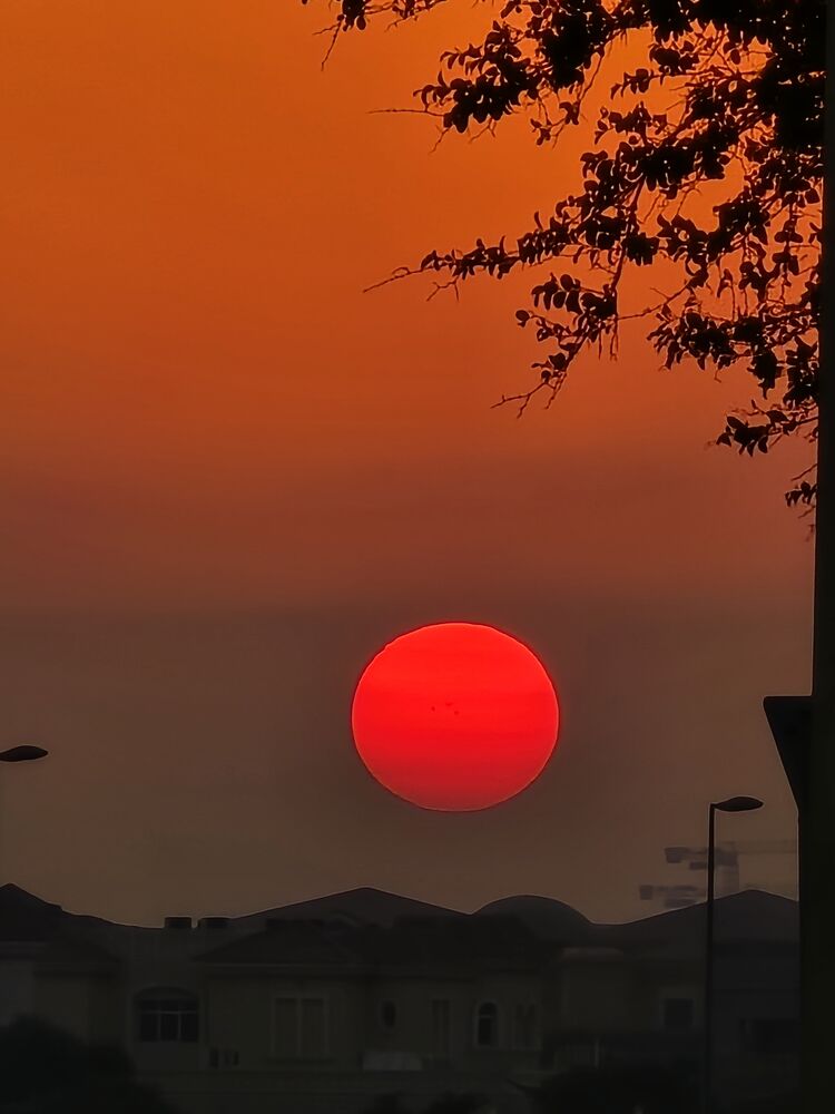  54519999  Abdulla, 38 ,    