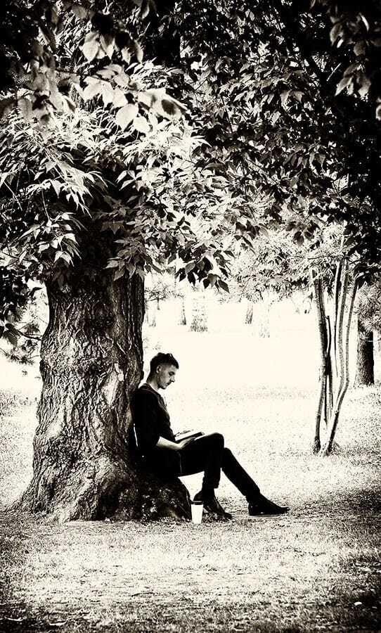 ���������� �����������, ���� ������� ���������, 32 ����, ������������ ��� ������, ����� � ���������, c�������� ���������, ���������