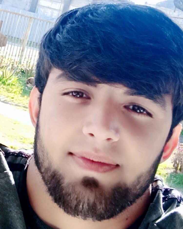 ���� 33736049 ����� ������, 25 ���, ���� ���������� � ����