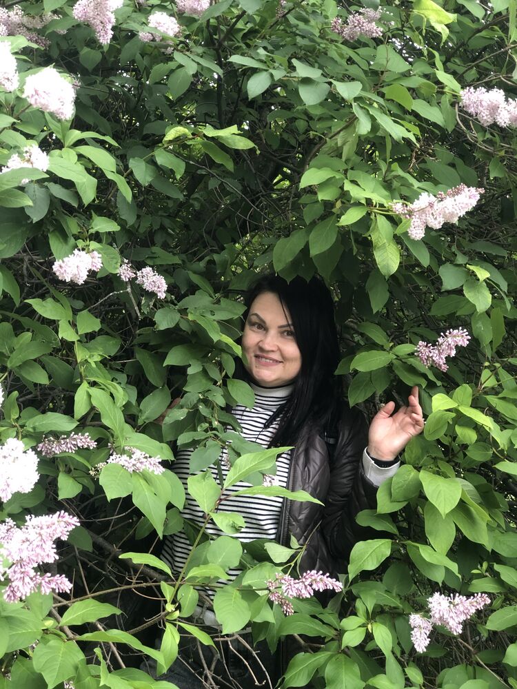 ���������� ������������, ���� ������� �������, 48 ���, ������������ ��� c�������� ���������