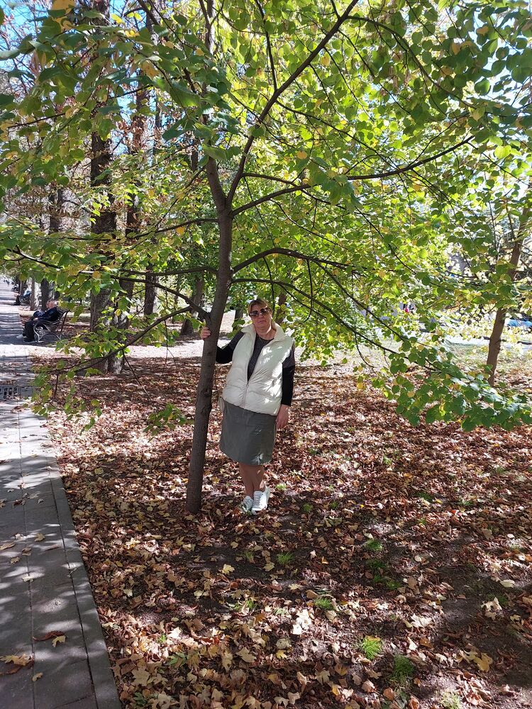 ���������� ����������, ���� ������� ��������, 52 ����, ������������ ��� c�������� ���������, ���������