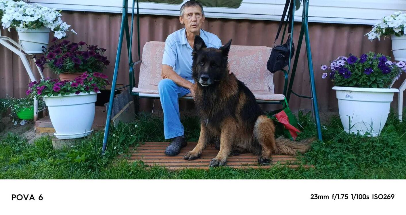 ���� 56027339 ������� ���������, 64 ����, ���� ���������� � ����������������