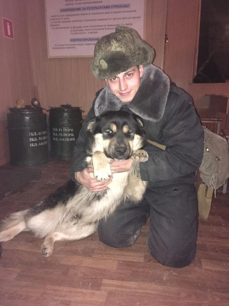 ���������� ���������, ���� ������� ������, 29 ���, ������������ ��� ������, ����� � ���������, c�������� ���������