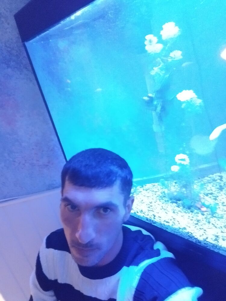 ���������� �����������, ���� ������� ϸ��, 38 ���, ������������ ��� ������, ����� � ���������