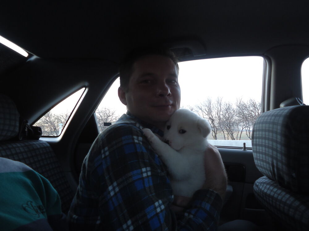 ���� 5251579 ������� �������, 50 ���, ���� ���������� � �����-����������