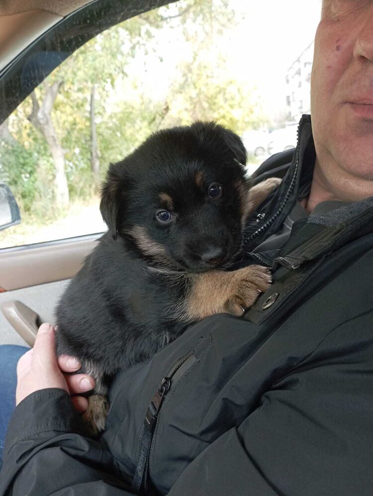  54150839  Viktor, 46 ,     