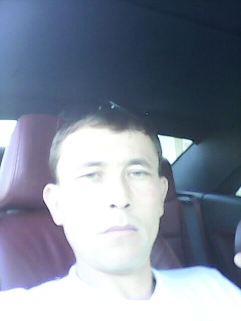  33457129  , 36 ,    