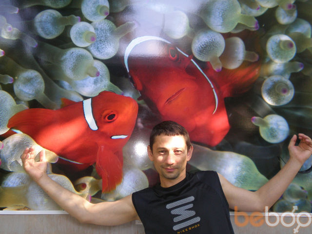 ���� 1147959 ������� Rena, 54 ����, ���� ���������� � �������