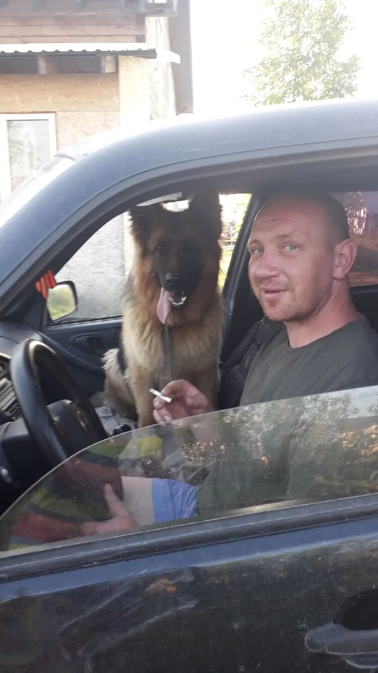  28060079  , 41 ,    -